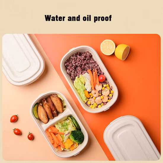 Биоразлагаемая посуда Контейнер для пищевых продуктов Оптовая продажа Кукурузный крахмал Surgarcane Багасса Целлюлоза Раскладушка с крышкой Ресторан Приготовление еды на обед Обед на вынос